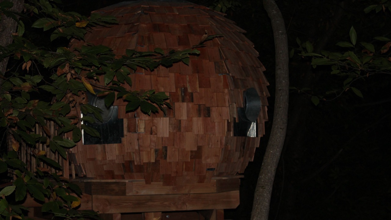 Photo of Outdoor in Belvedere