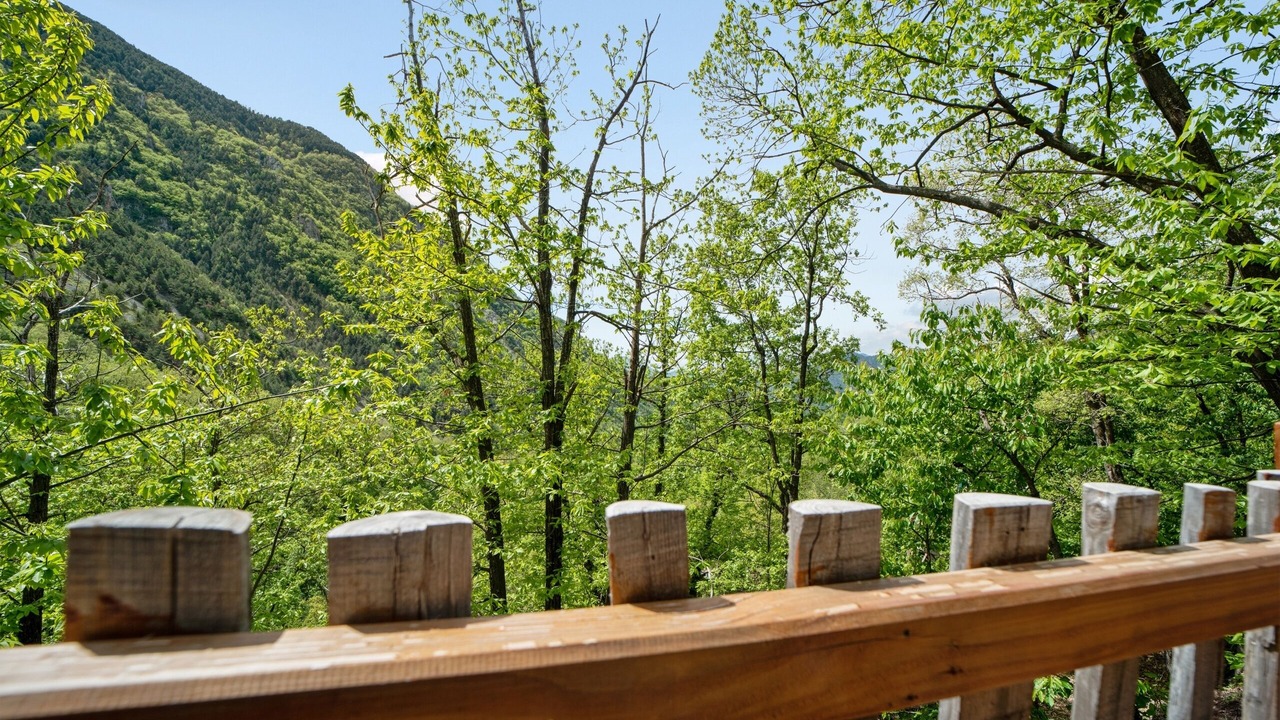 Photo of Outdoor in Belvedere