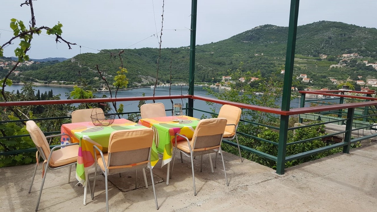 Photo of Others in Zaton