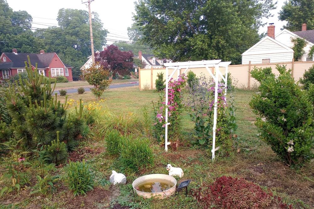 Photo of Outdoor in Greensboro