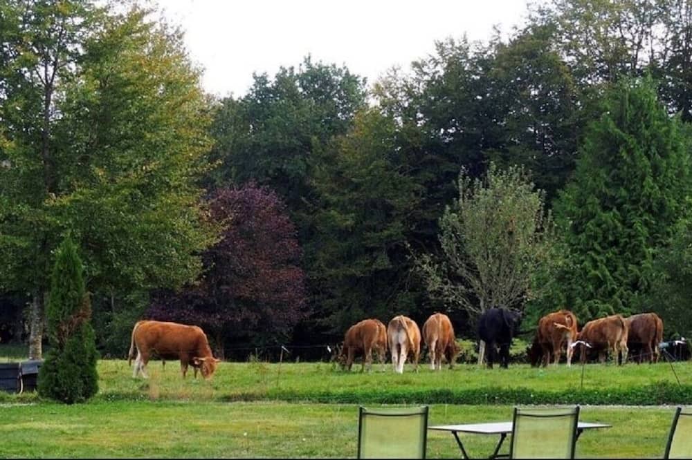 Photo of Outdoor in Botsorhel