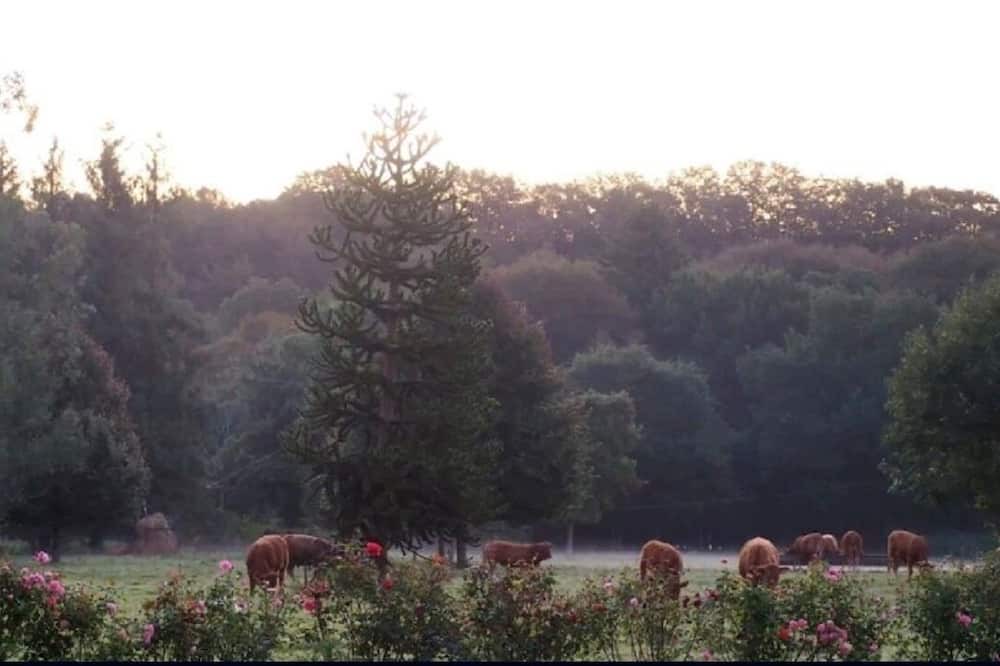 Photo of Outdoor in Botsorhel