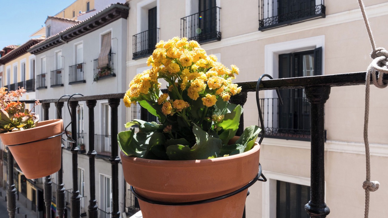 Photo of Outdoor in Barrio de las Letras