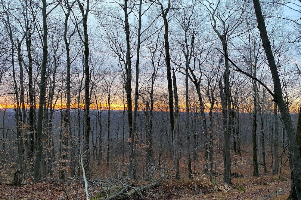 Photo of Others in Stephentown