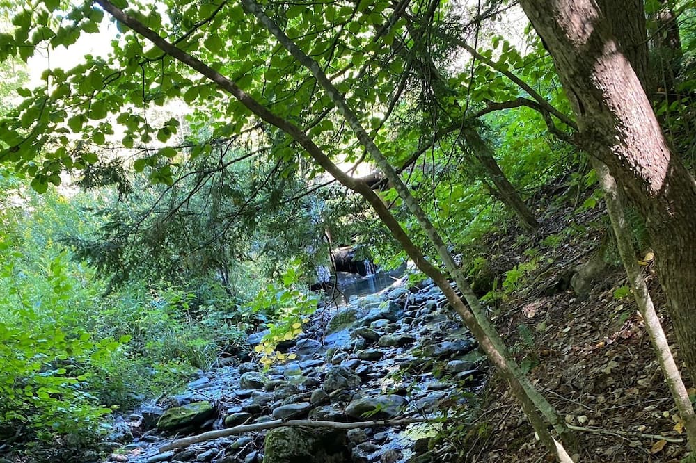 Photo of Others in Stephentown