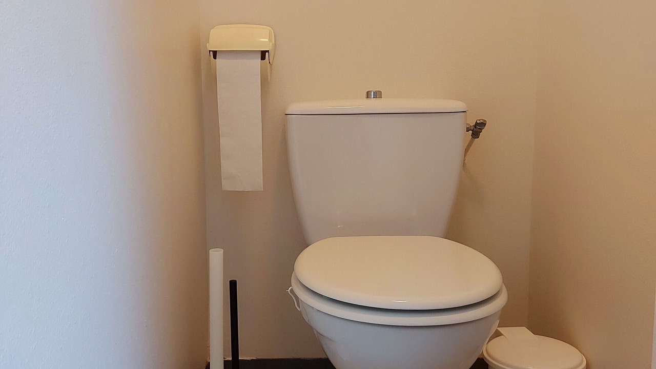 Photo of Bathroom in Oisseau