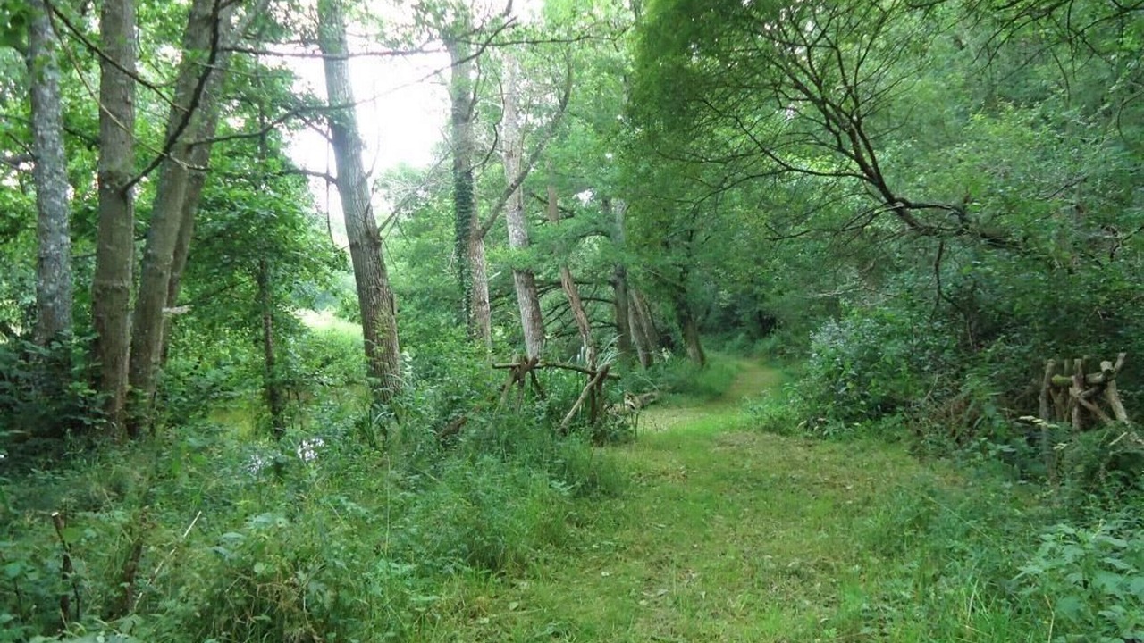 Photo of Outdoor in Oisseau