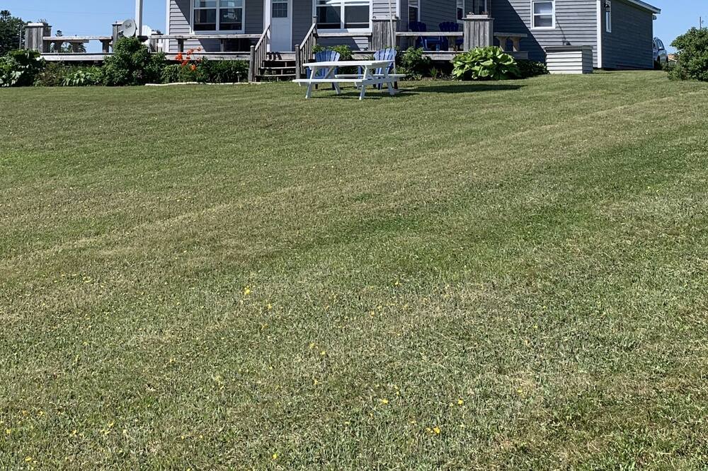 Photo of Outdoor in Queens County