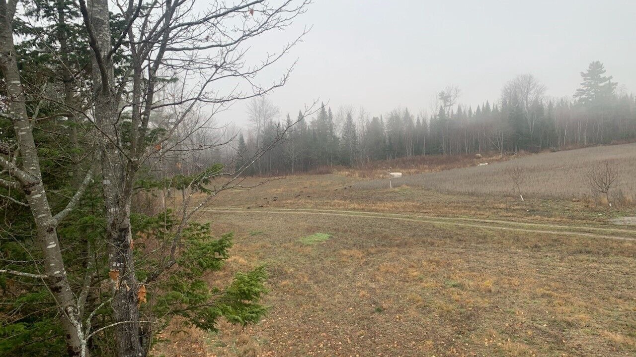 Photo of Outdoor in Burnham