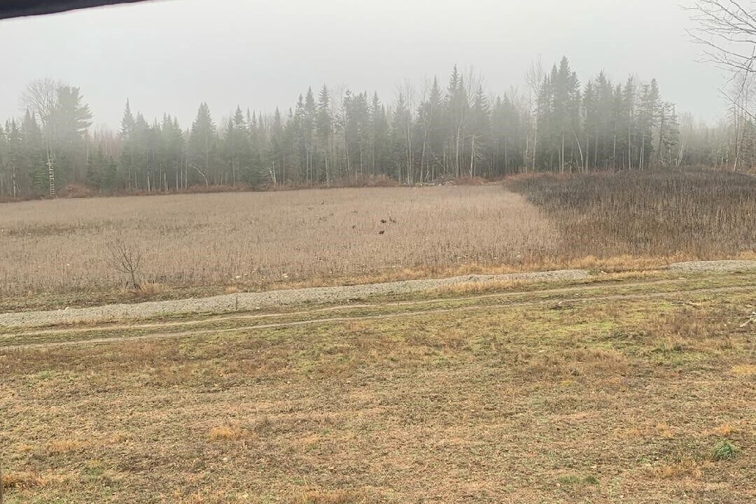 Photo of Others in Burnham