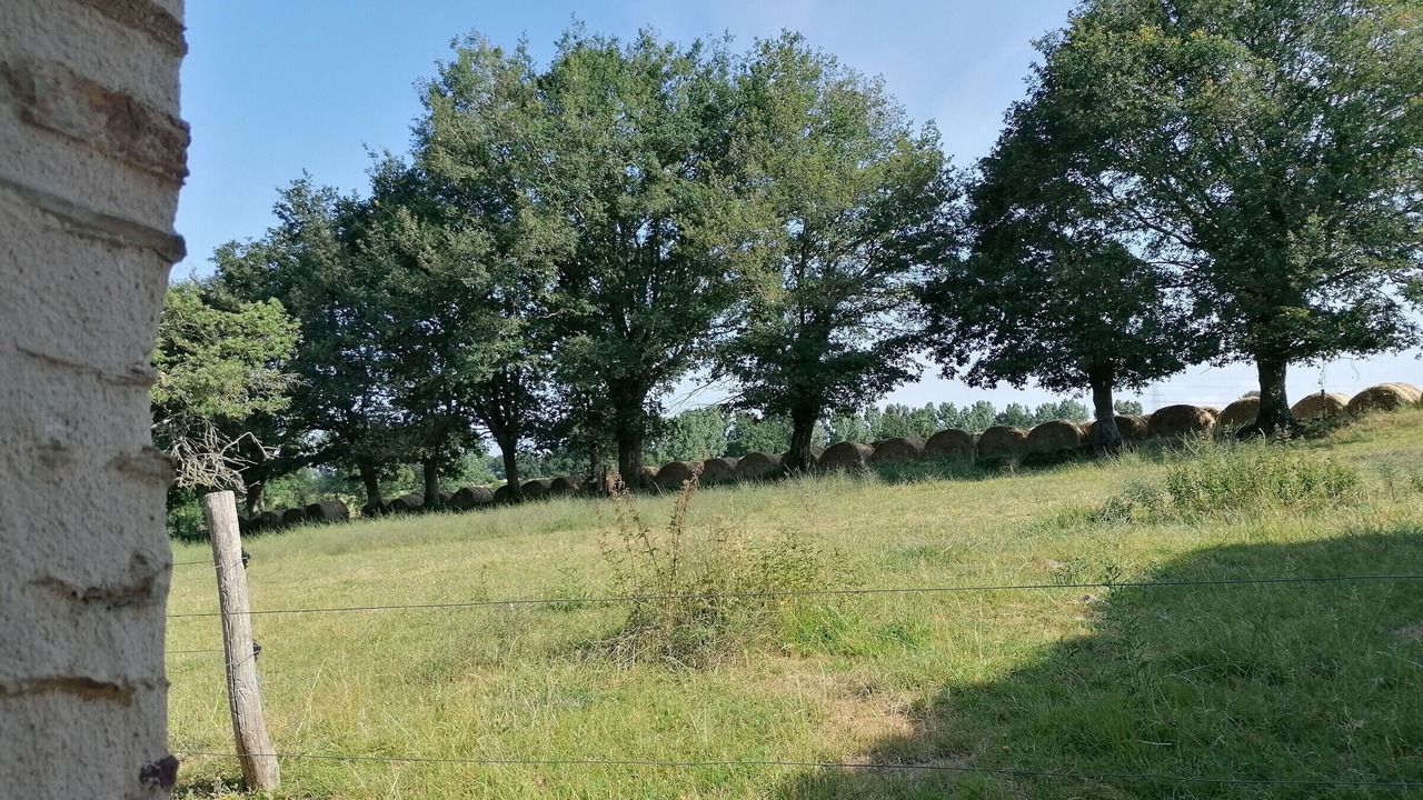 Photo of Outdoor in Cosse-le-Vivien