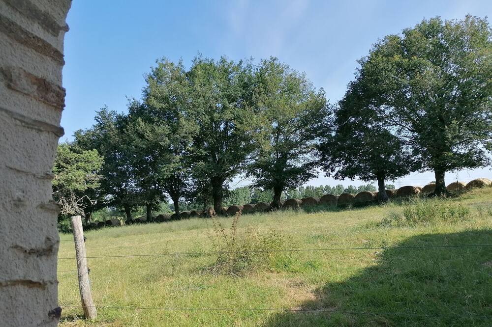 Photo of Others in Cosse-le-Vivien