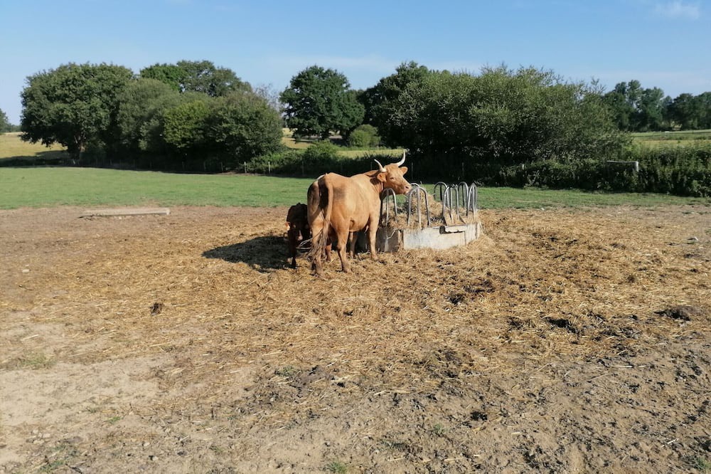 Photo of Outdoor in Cosse-le-Vivien