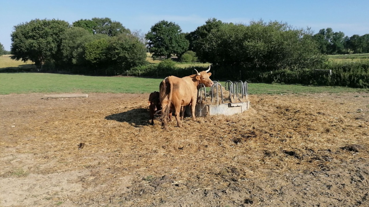 Photo of Outdoor in Cosse-le-Vivien