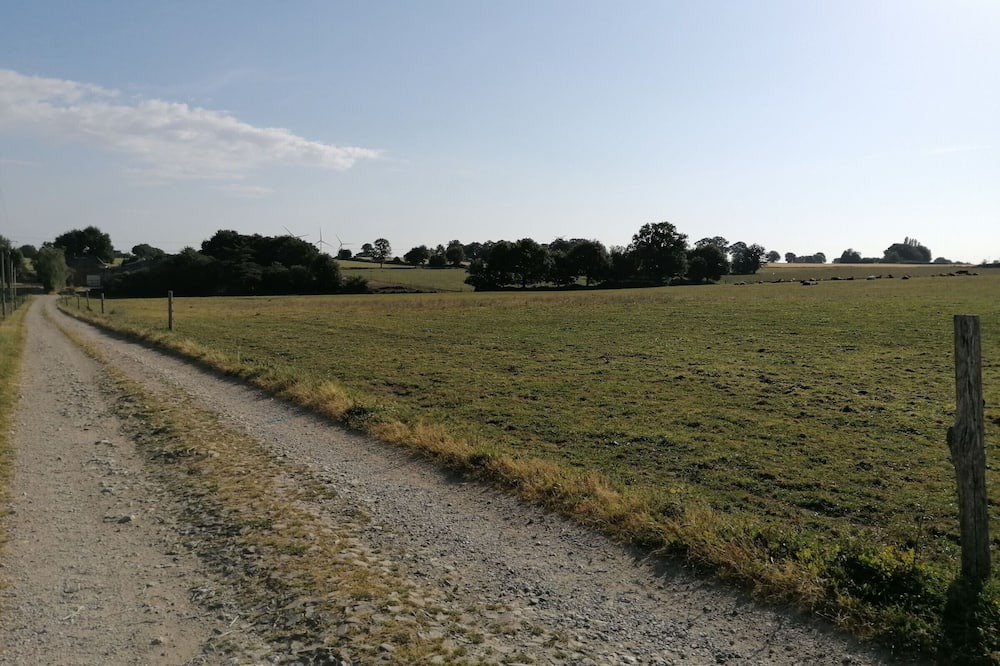 Photo of Outdoor in Cosse-le-Vivien