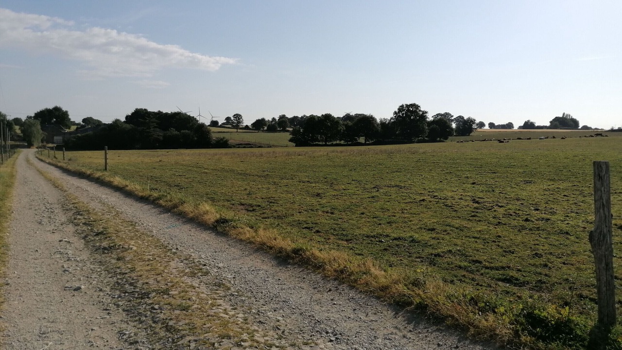 Photo of Outdoor in Cosse-le-Vivien