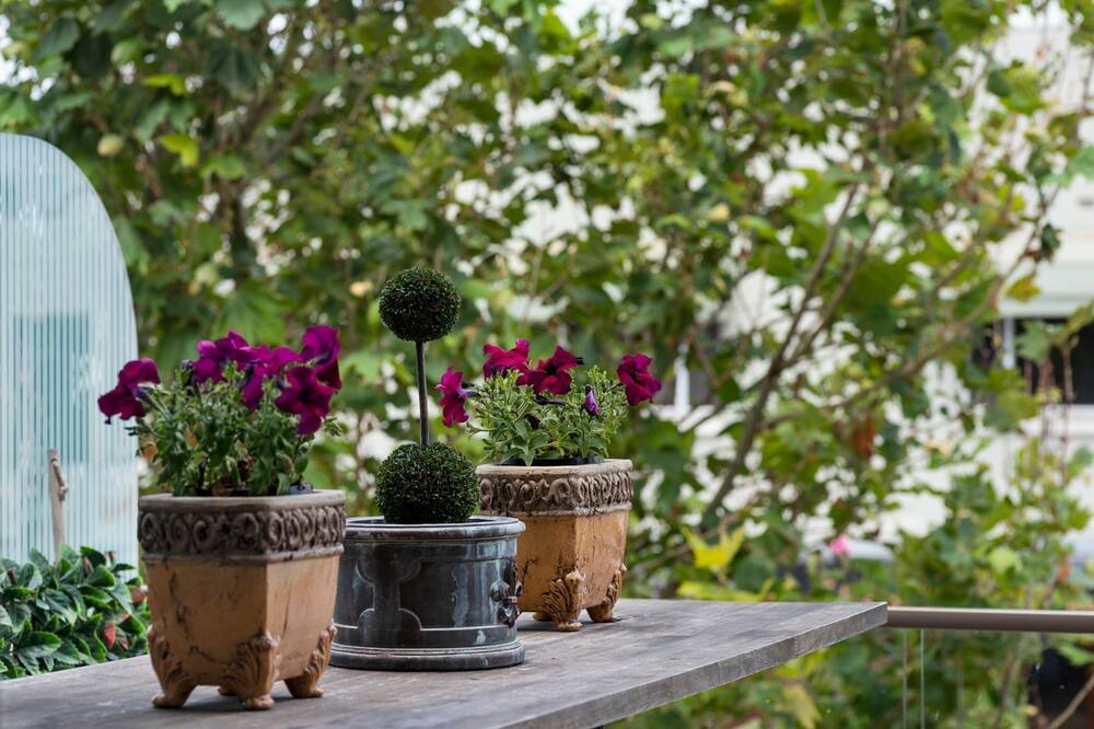 Photo of Outdoor in Mornington