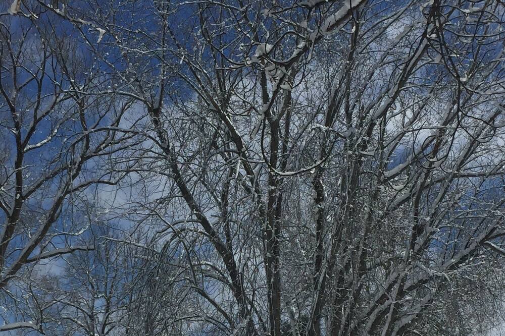Photo of Others in Magog