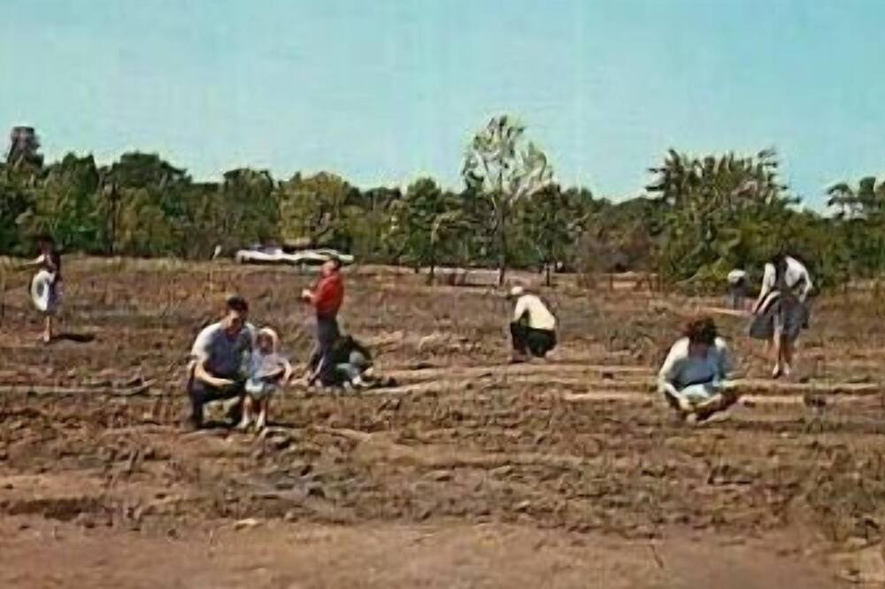Photo of Others in Saratoga
