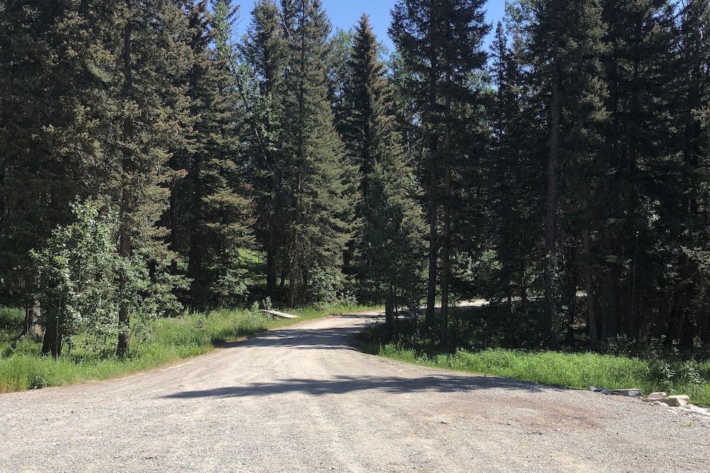 Photo of Others in Calgary