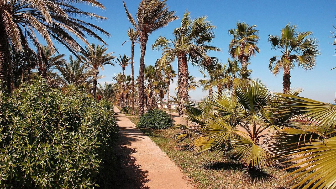 Photo of Outdoor in El Algar
