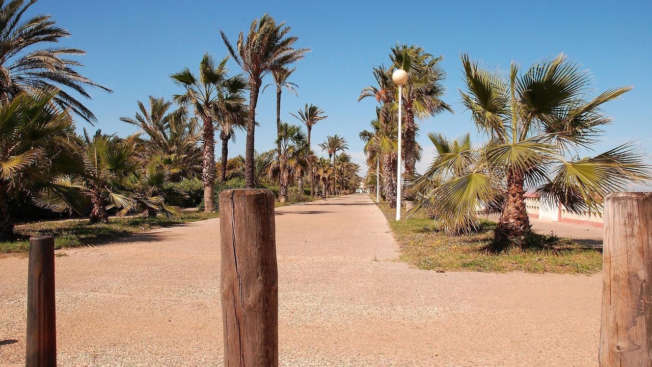 Photo of Outdoor in El Algar