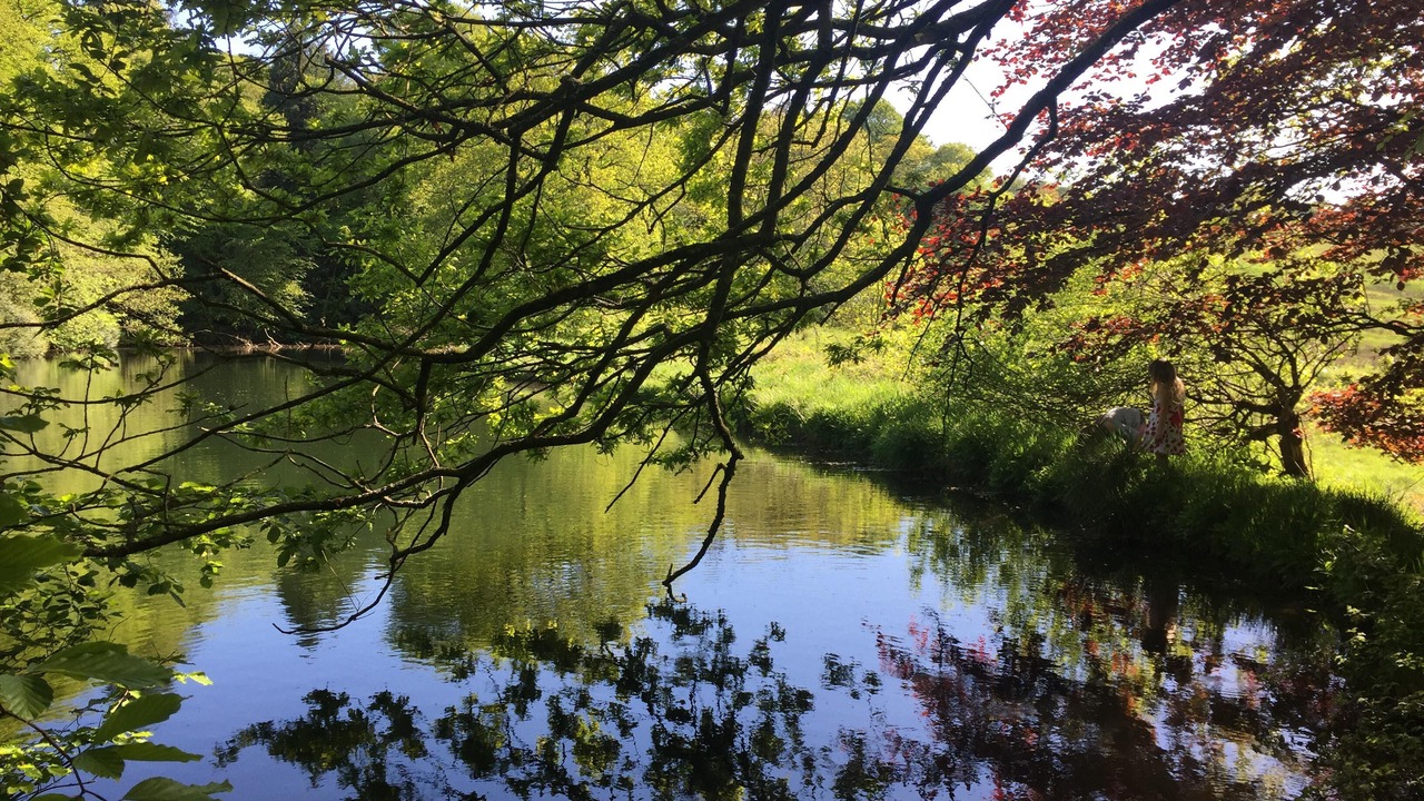 Photo of Outdoor in Ashwick