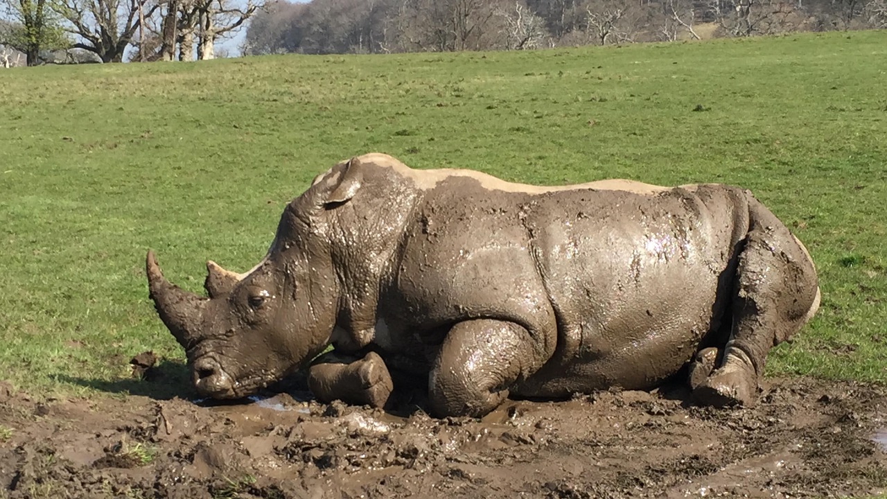 Photo of Outdoor in Ashwick