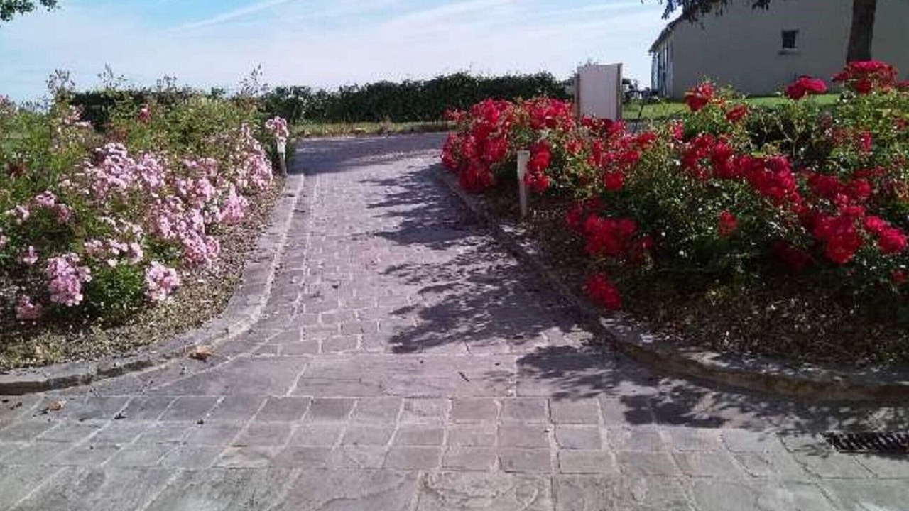Photo of Outdoor in Vennecy