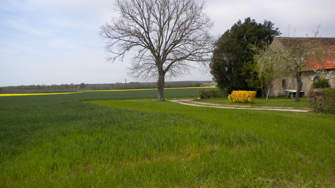 Photo of Others in Vennecy