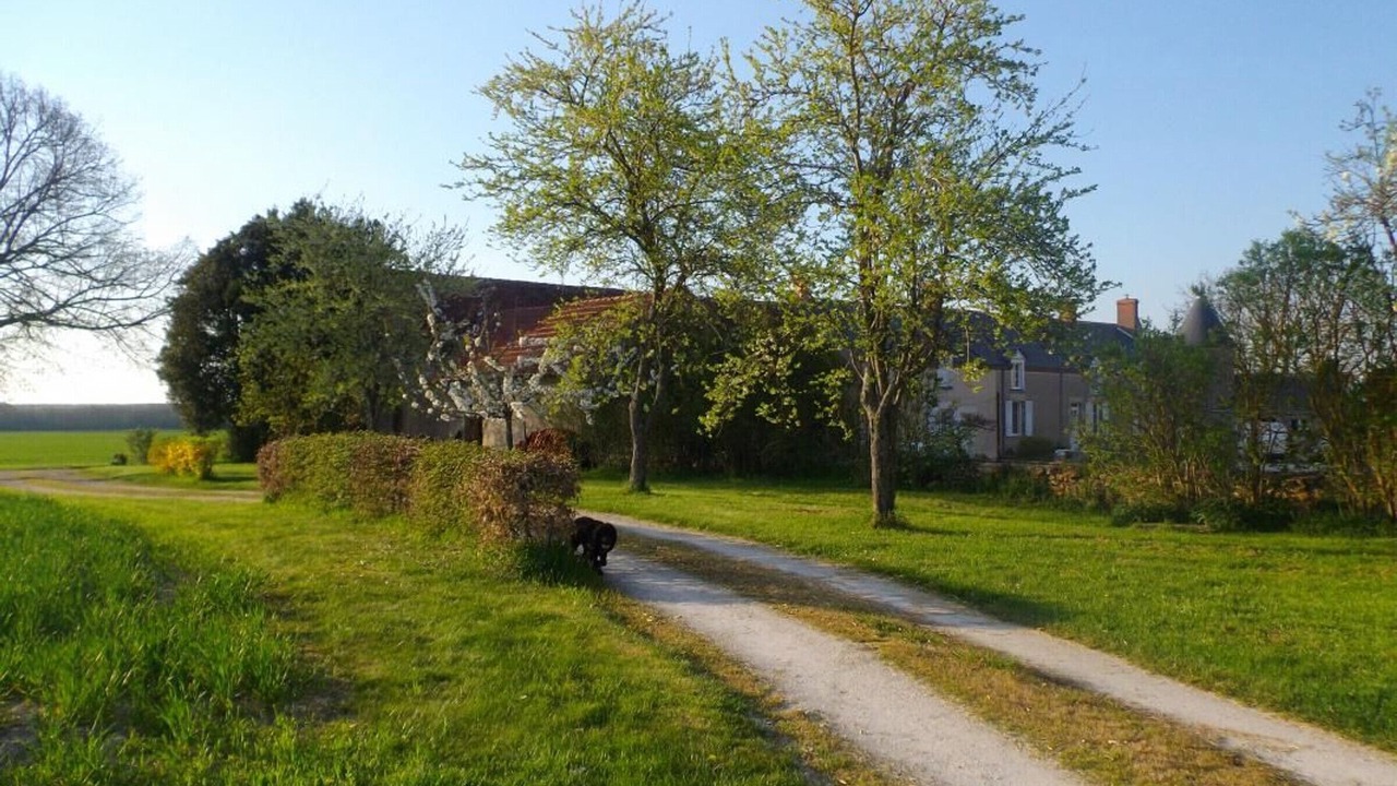 Photo of Outdoor in Vennecy
