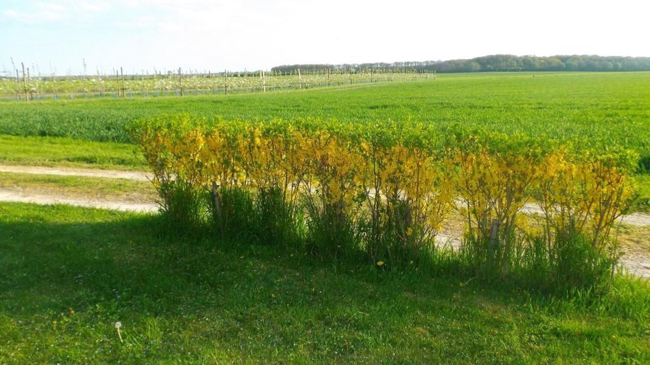Photo of Outdoor in Vennecy