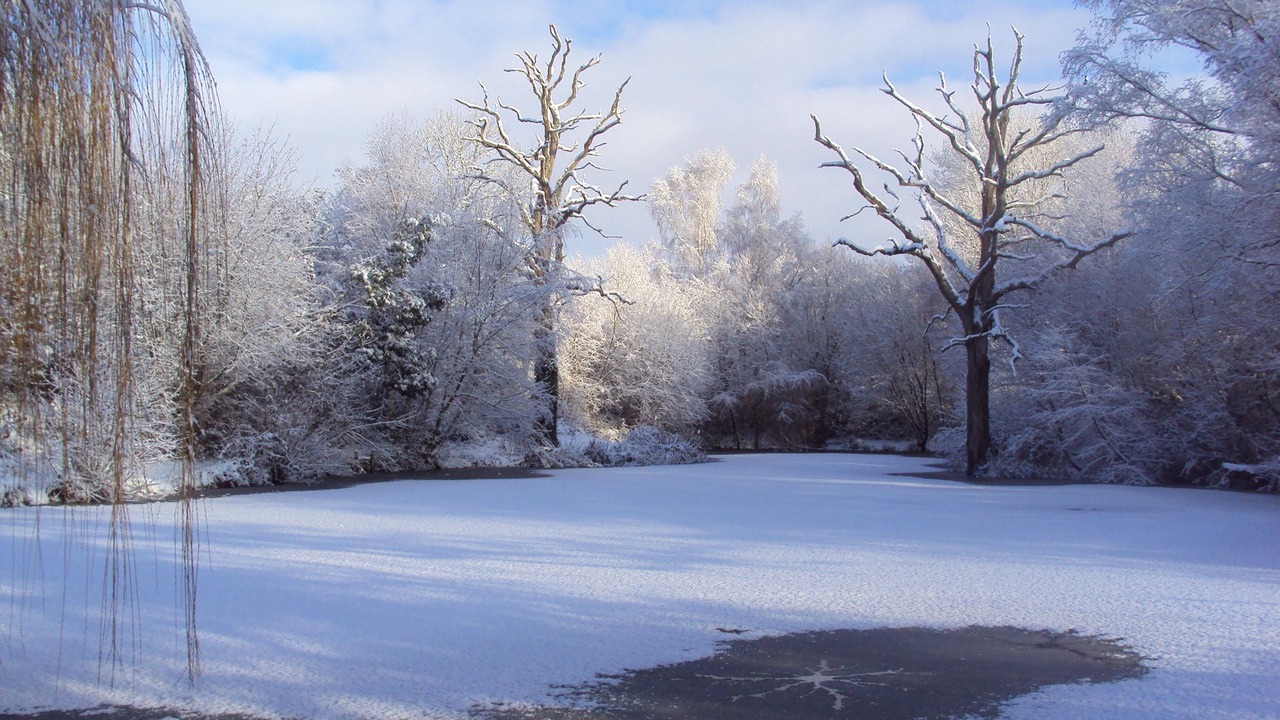 Photo of Others in Wimborne Saint Giles