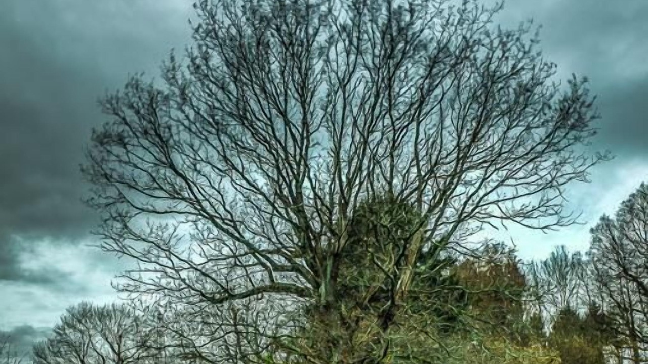 Photo of Others in Wimborne Saint Giles