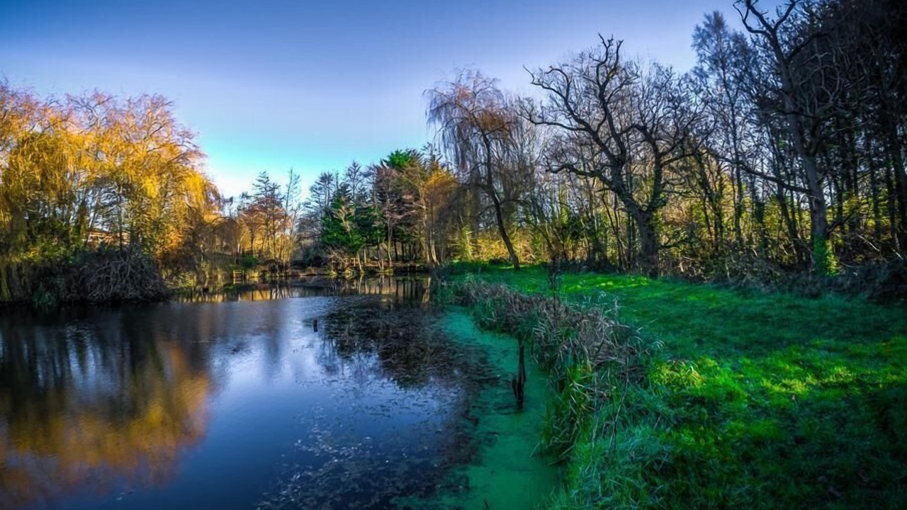 Photo of Others in Wimborne Saint Giles