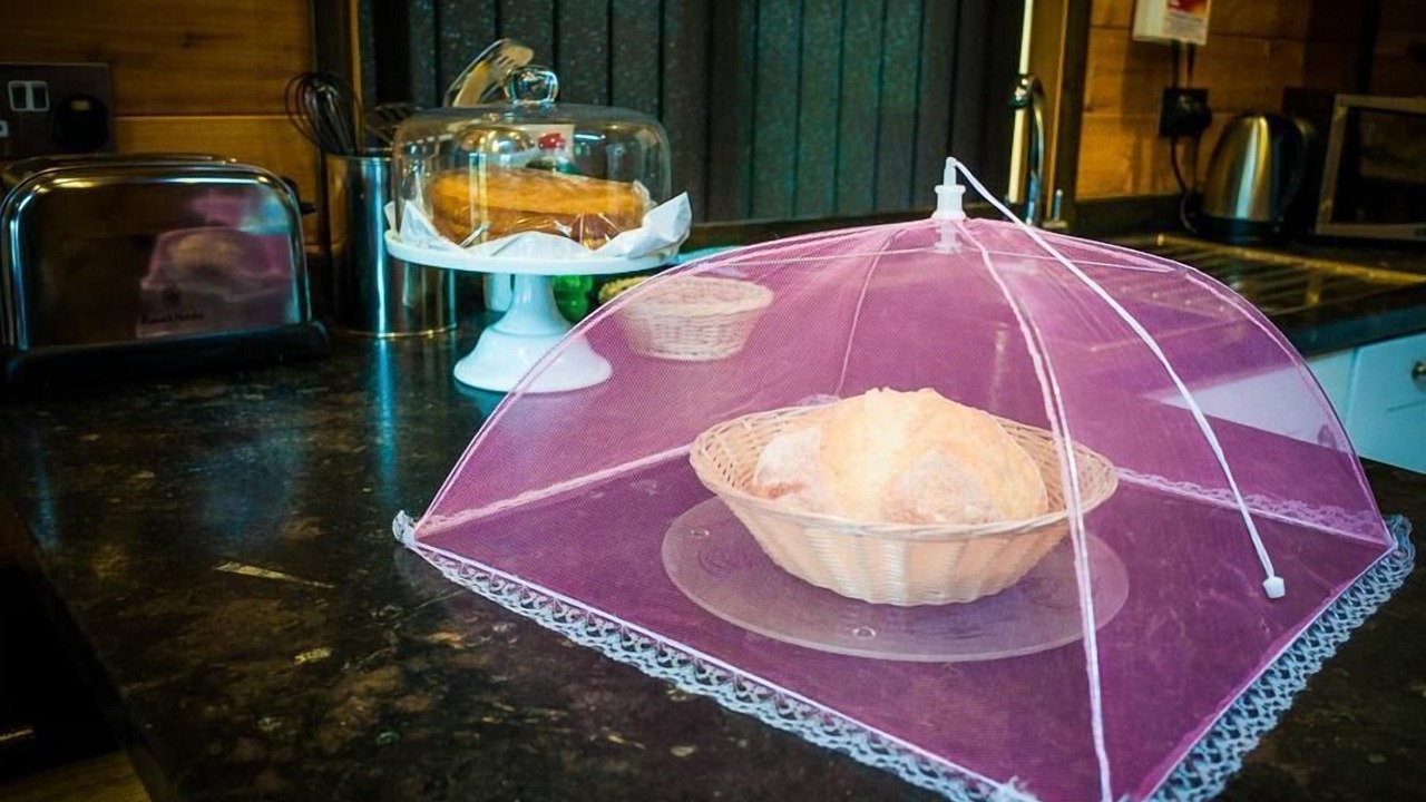 Photo of Others in Wimborne Saint Giles