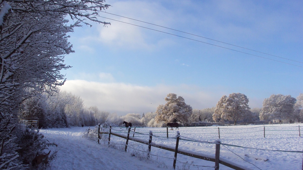 Photo of Others in Wimborne Saint Giles