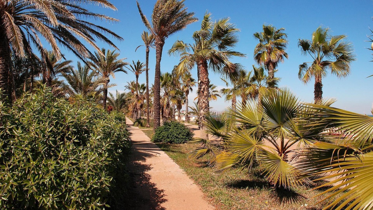 Photo of Outdoor in El Algar