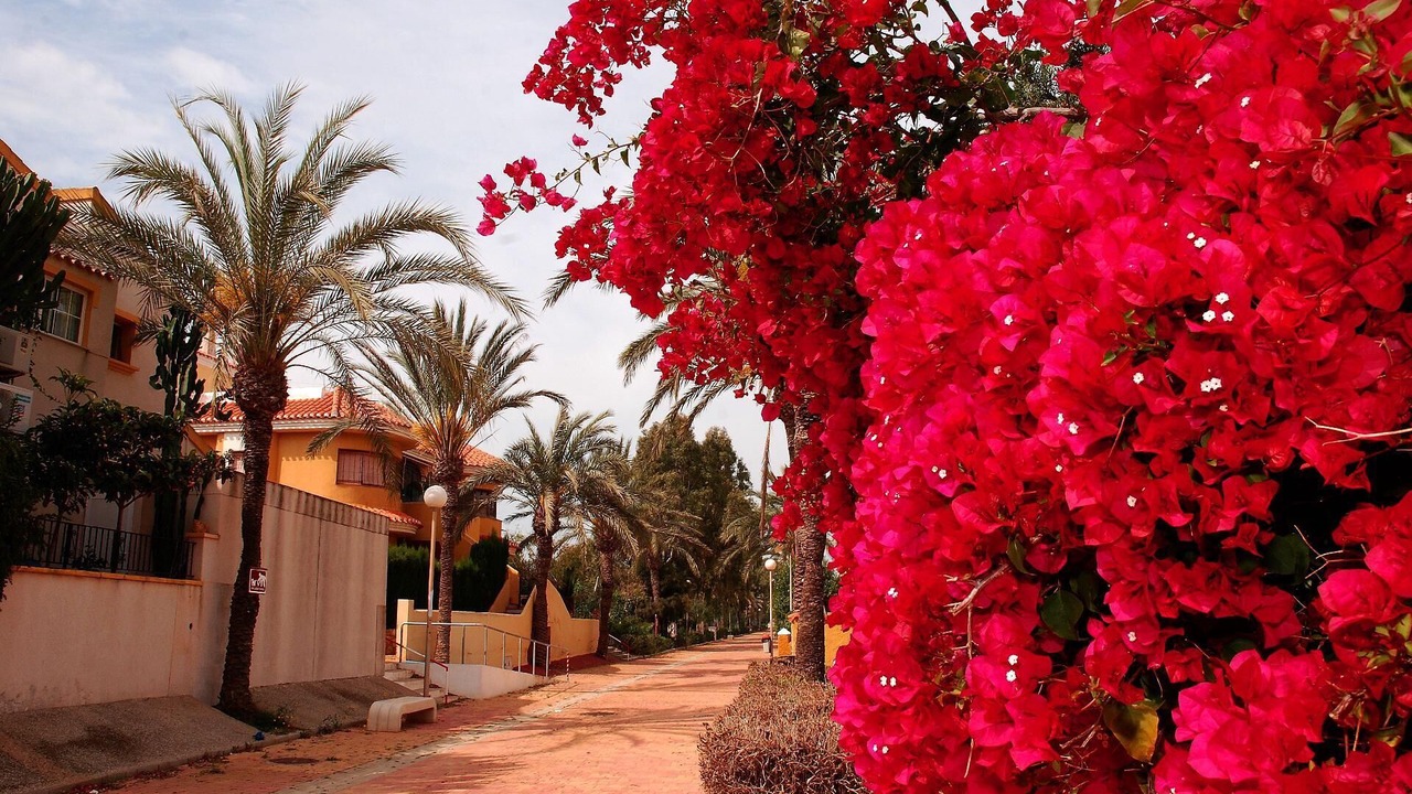 Photo of Outdoor in El Algar