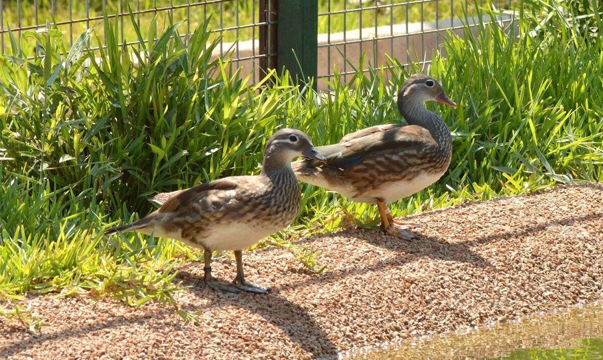 Photo of Others in El Algar