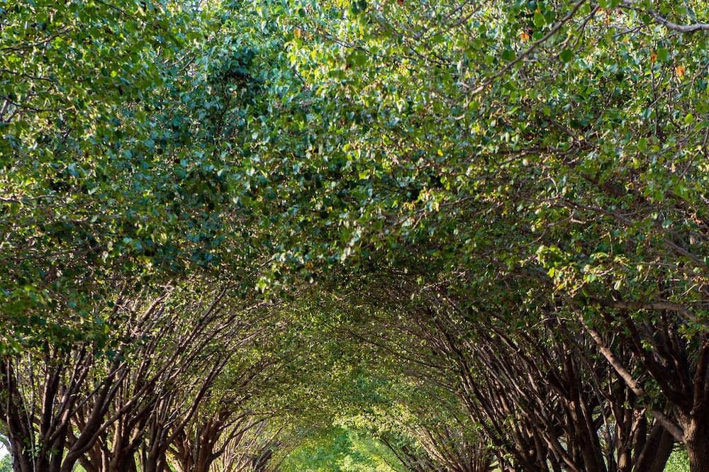 Photo of Outdoor in Cross Roads