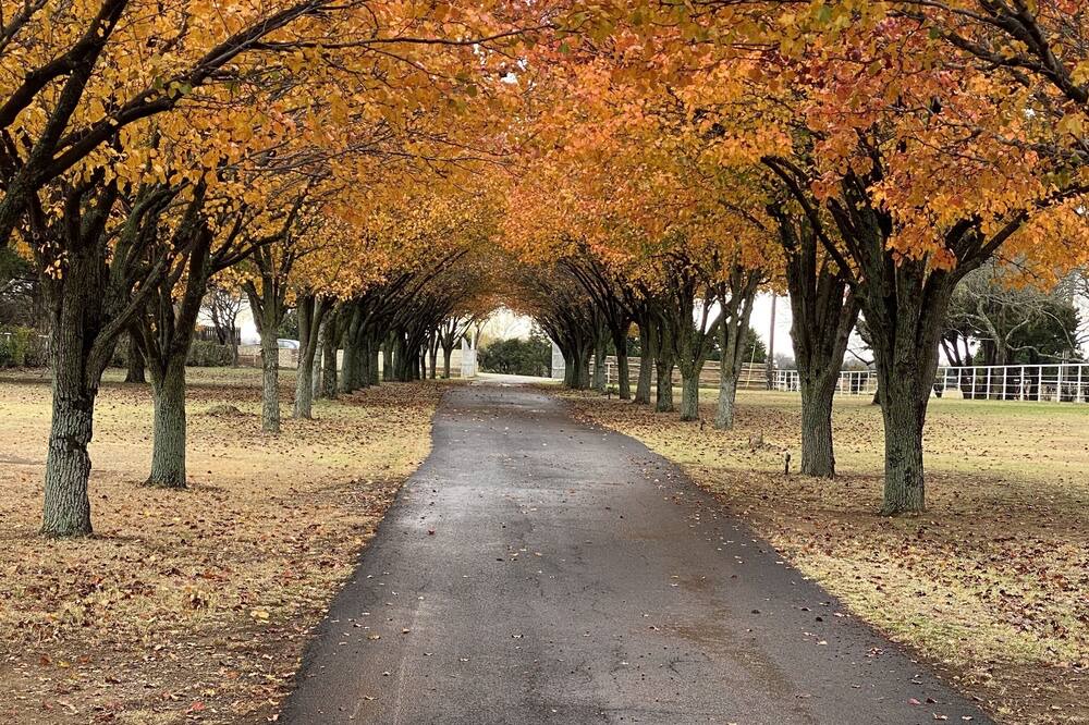 Photo of Outdoor in Cross Roads