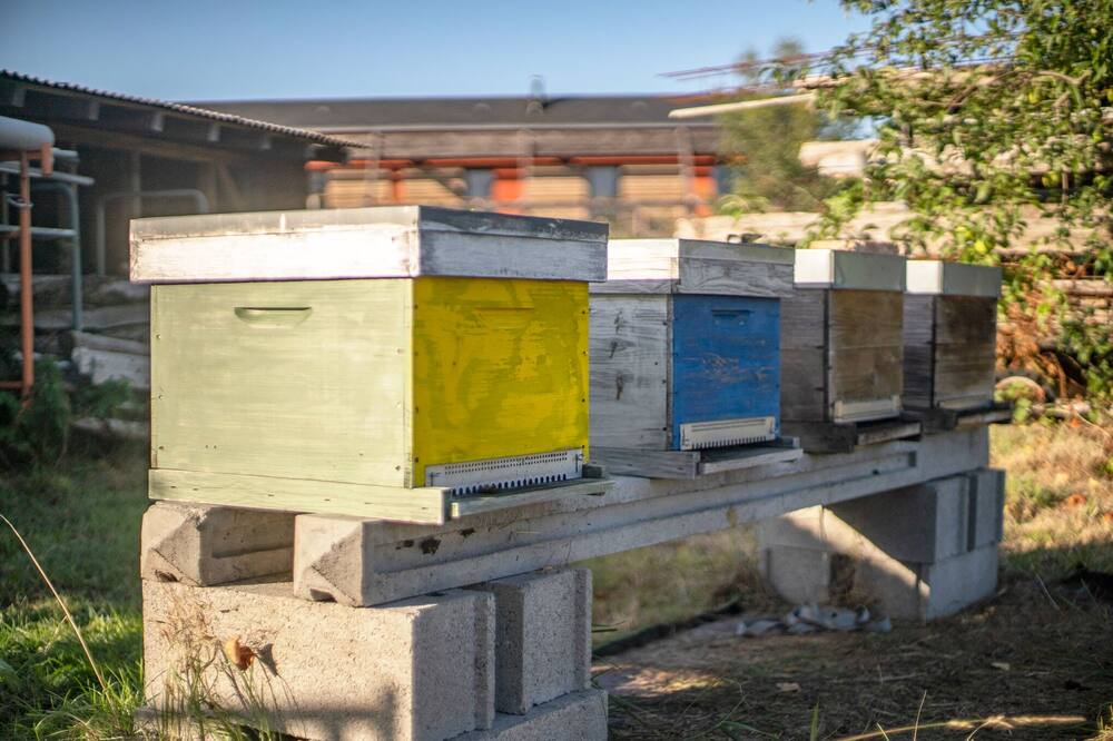 Photo of Others in Change