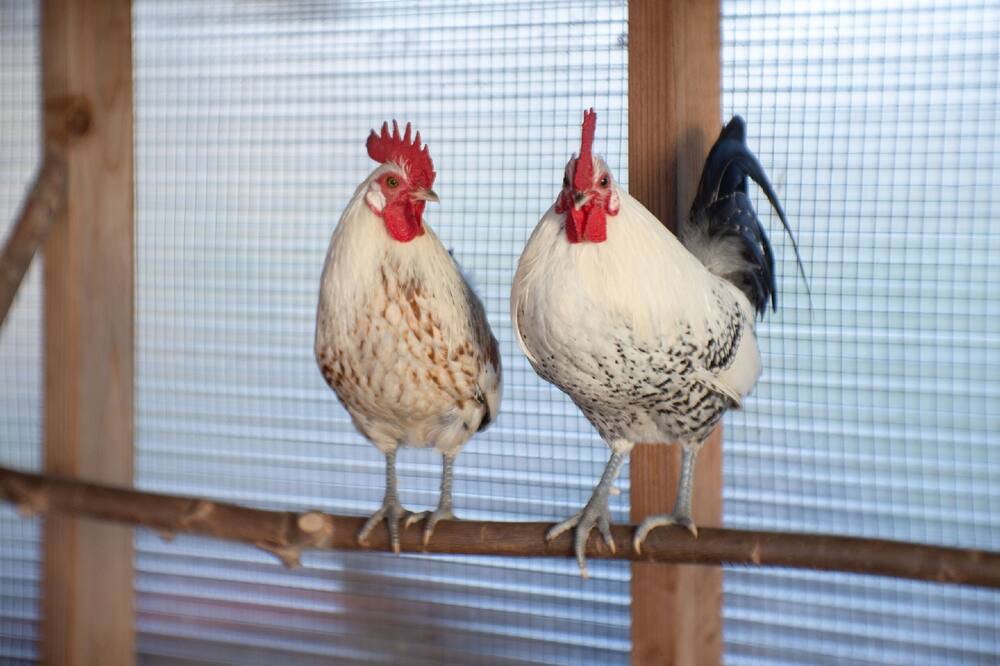 Photo of Others in Change