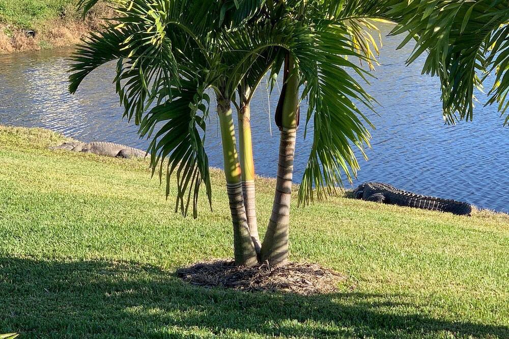 Photo of Outdoor in Rotonda Sands