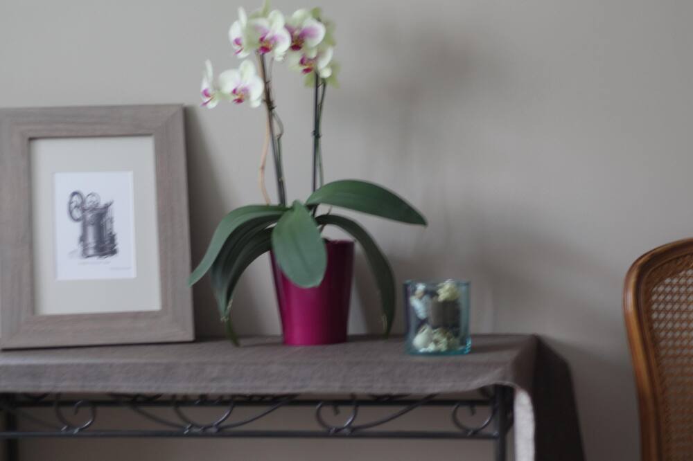 Photo of Others in Kintzheim