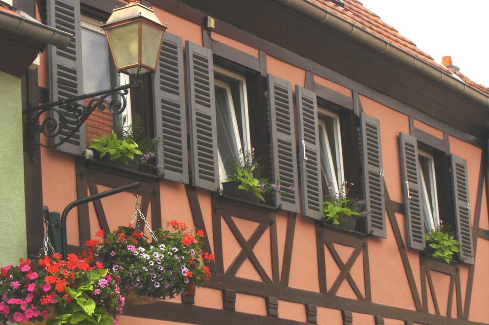 Photo of Outdoor in Kintzheim