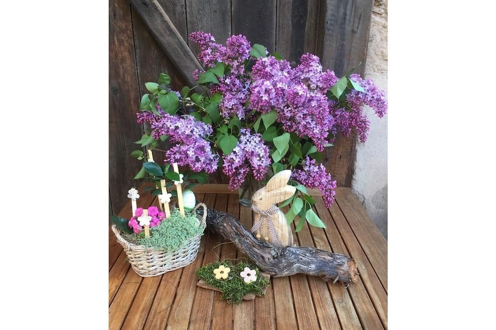 Photo of Others in Kintzheim