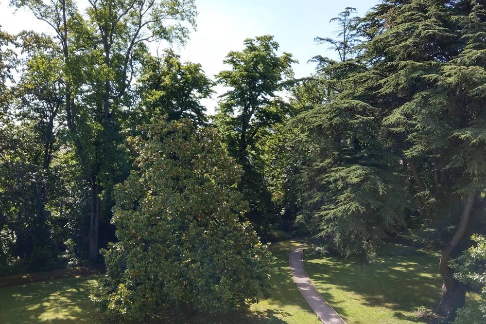 Photo of Outdoor in Labruguiere