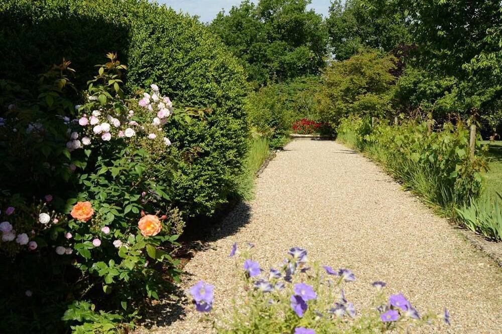 Photo of Outdoor in Saint Palais